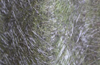 Featherstone fibreglass roof work